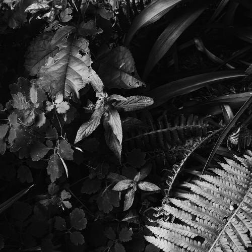 Photo #4204866