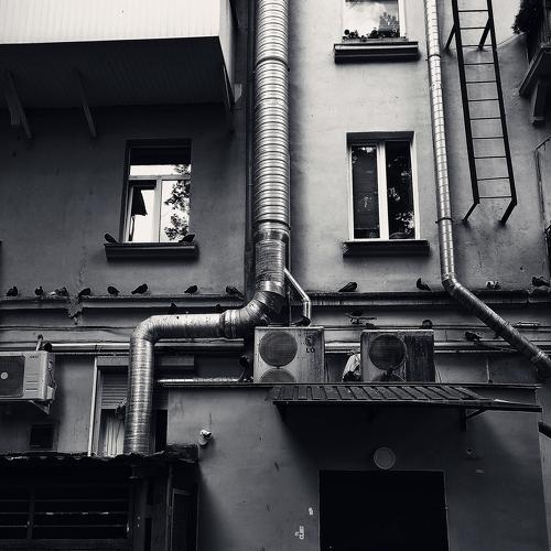 Photo #4204867
