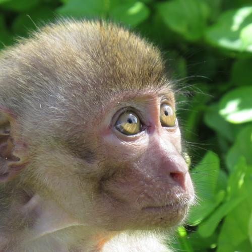 Photo #4204914