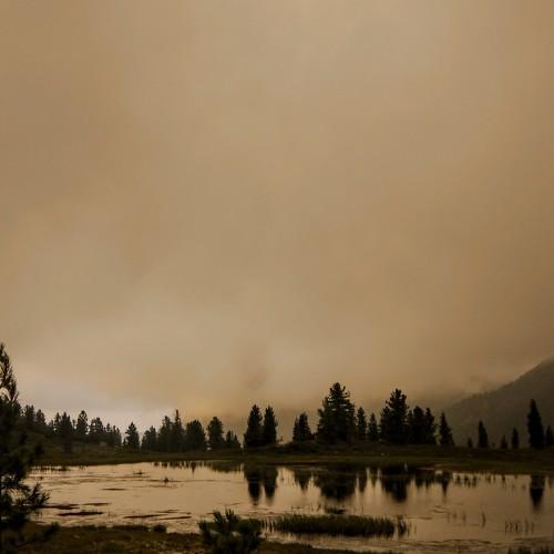 Photo #4204998