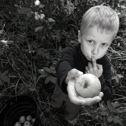 Photo #4205067