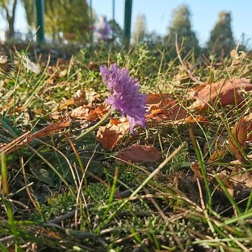 Photo #4205231