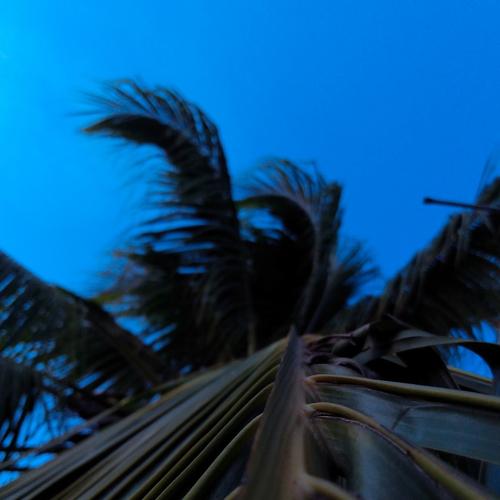 Photo #4205285