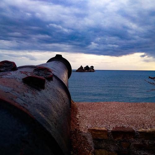 Photo #4205520