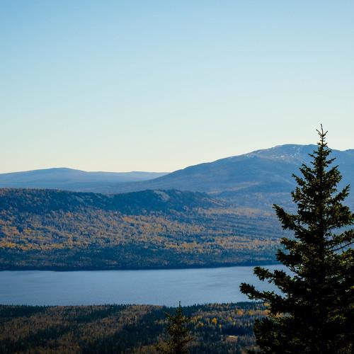 Photo #4205783
