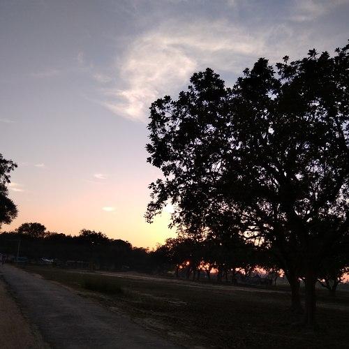 Photo #4206445