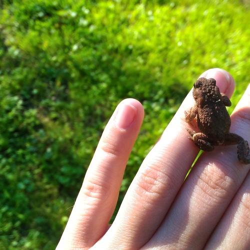 Photo #4206463