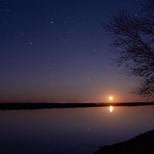 Photo #4206685