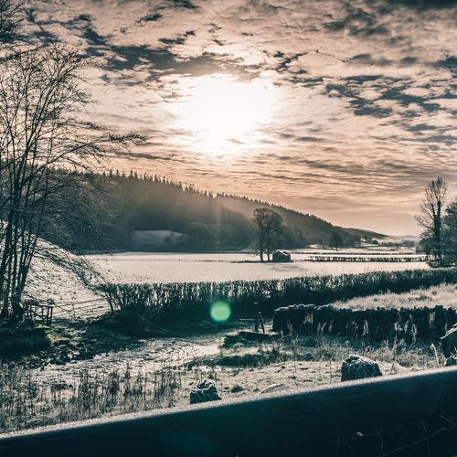 Photo #4206840