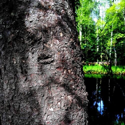 Photo #4206870