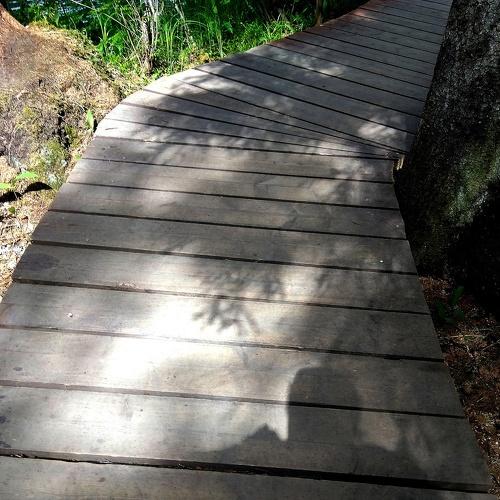 Photo #4206877