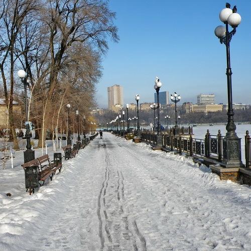 Photo #4206940