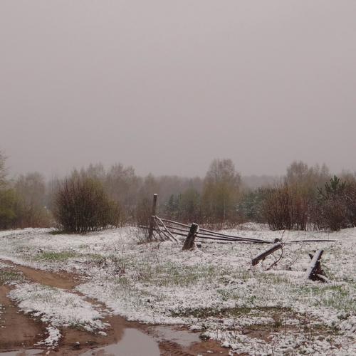 Photo #4207055