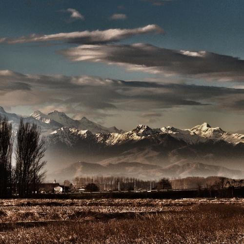 Photo #4207304