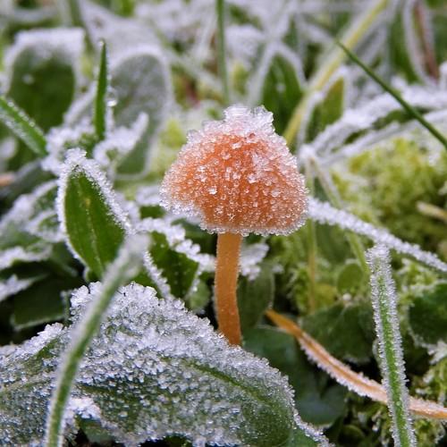 Photo #4207319