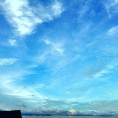 Photo #4207336