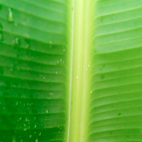 Photo #4208050