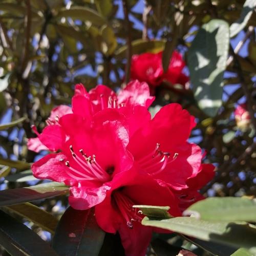 Photo #4208202