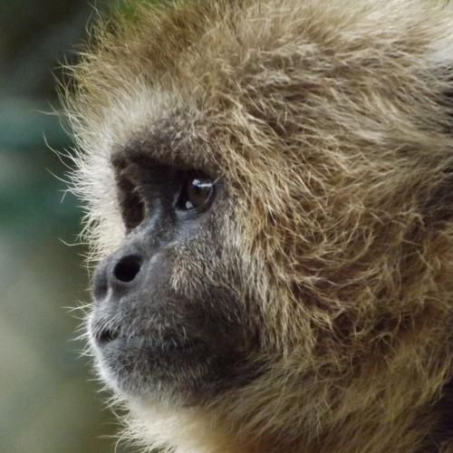 Photo #4208281