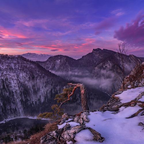 Photo #4208648