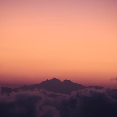 Photo #4209022