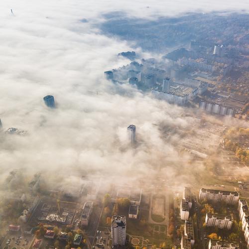 Photo #4209355