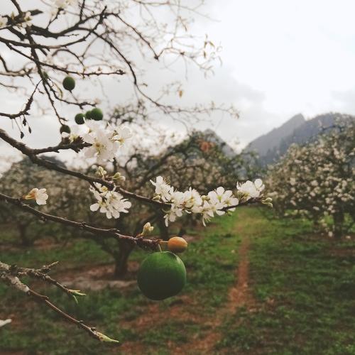 Spring days