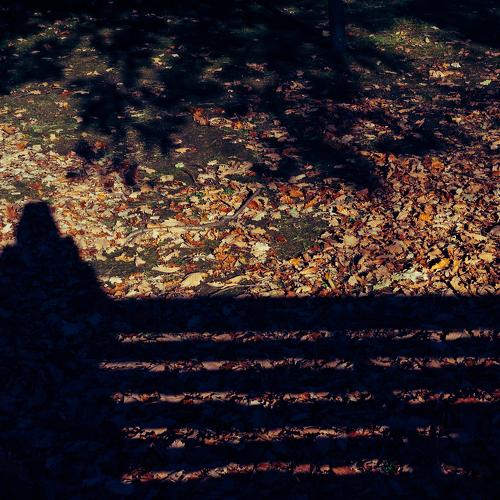 Photo #4209903