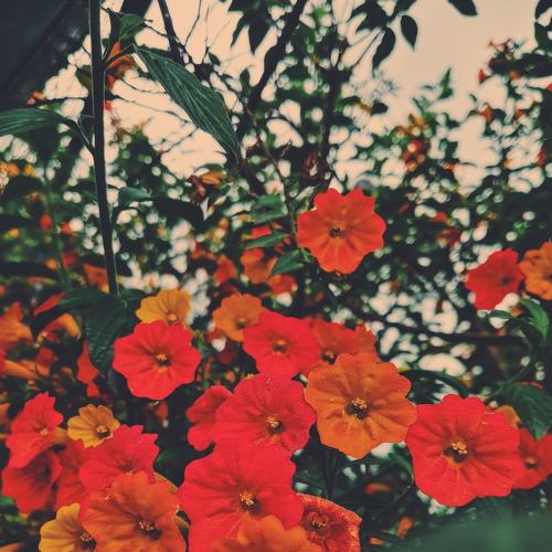 Photo #4210169