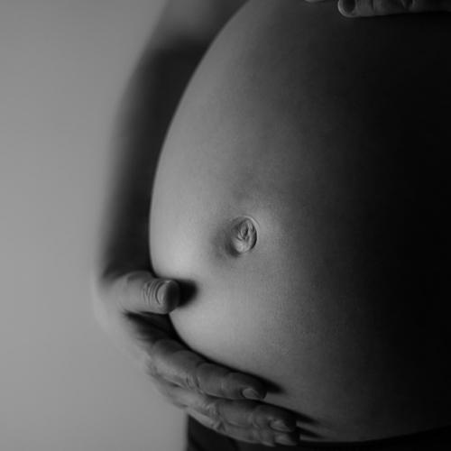 Photo #4210321
