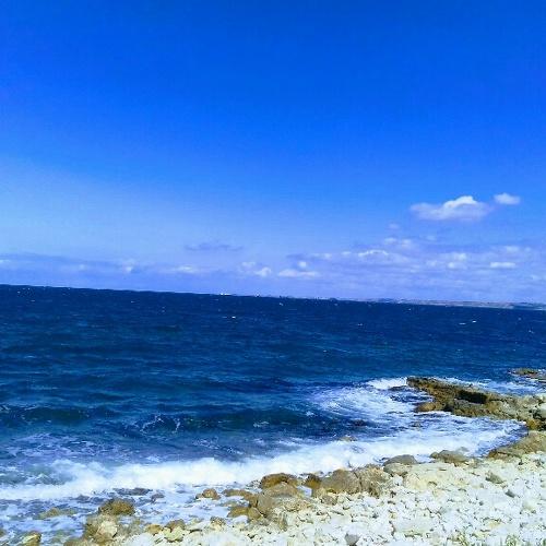 Photo #4210334
