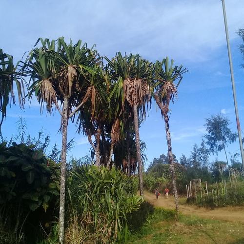 Photo #4210370