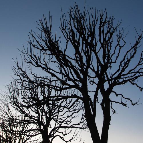 Photo #4211481