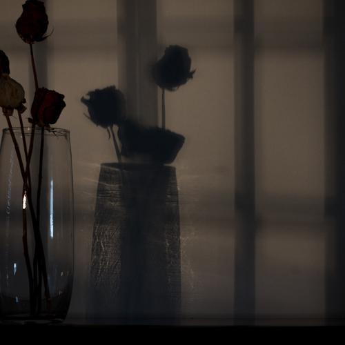 Photo #4211724