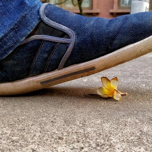 Photo #4211737
