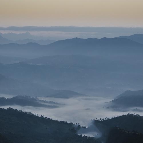 Photo #4211906