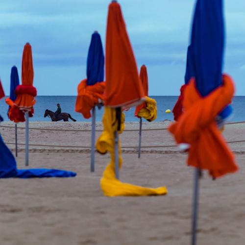 Photo #4212527