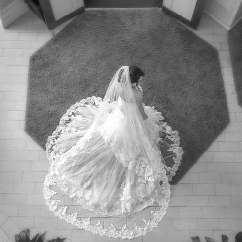 Photo #4212767