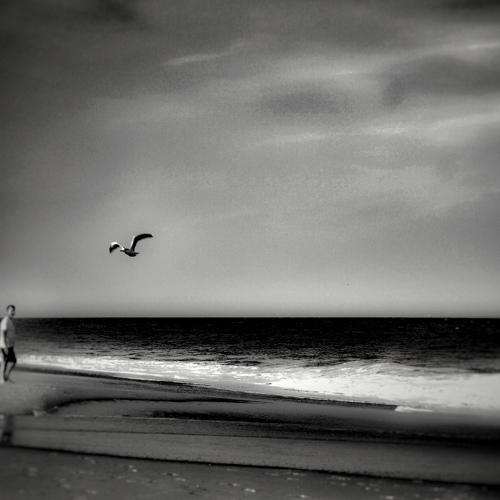Summer memory