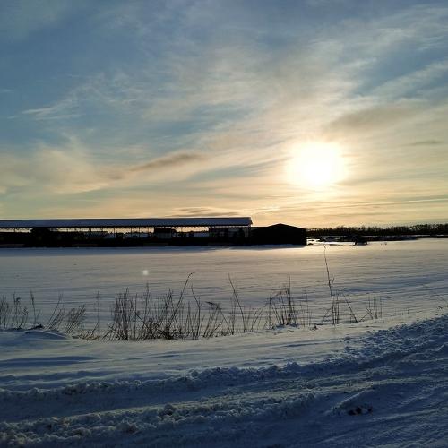Photo #4213008