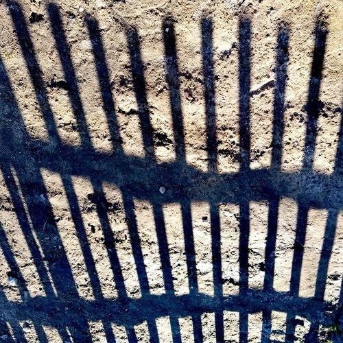 Photo #4213036