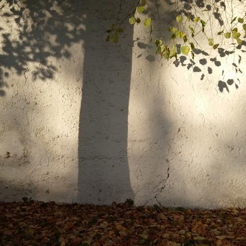 Photo #4213044
