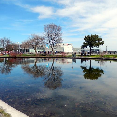 Photo #4213273