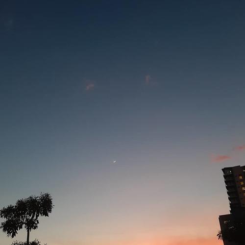 Photo #4213722
