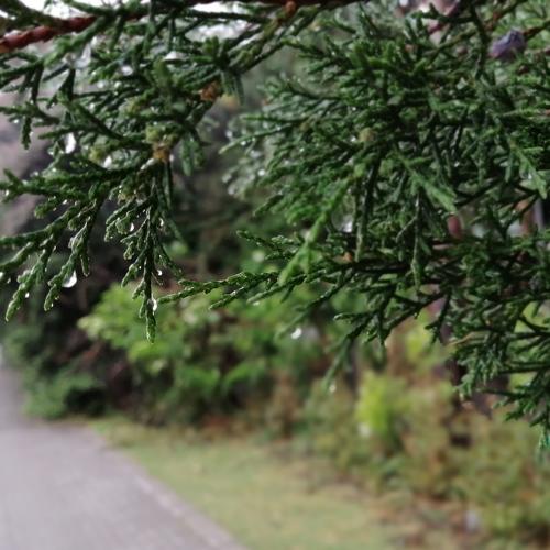 Photo #4214014