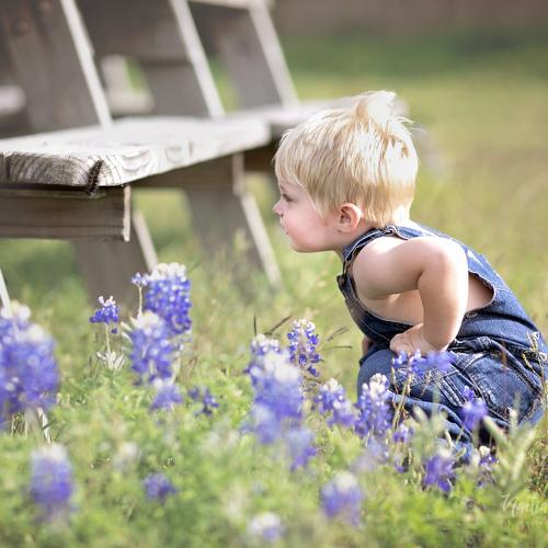 Photo #4214020
