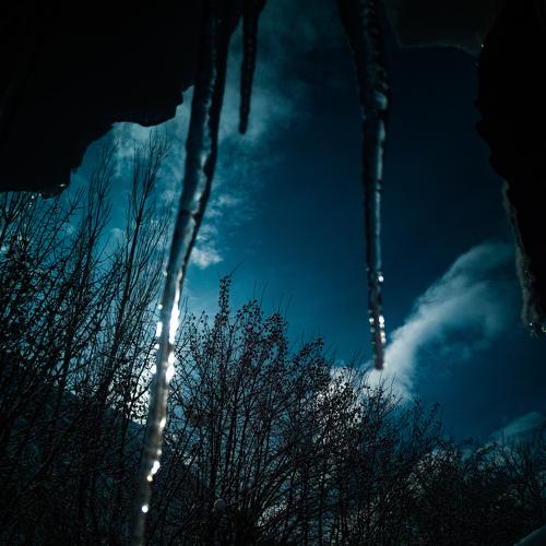 Photo #4214806