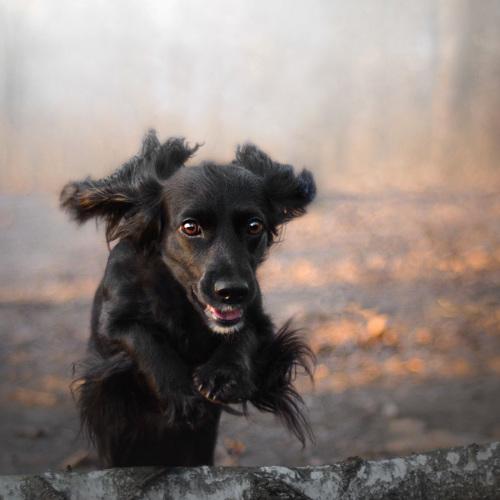 Photo #4214833