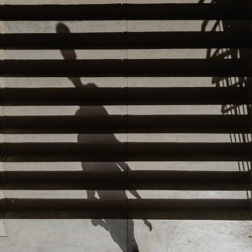 Photo #4214945