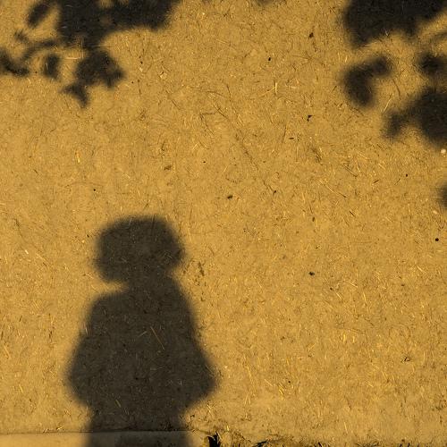 Photo #4215128